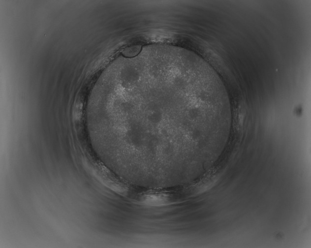 X0000116580263200912312021