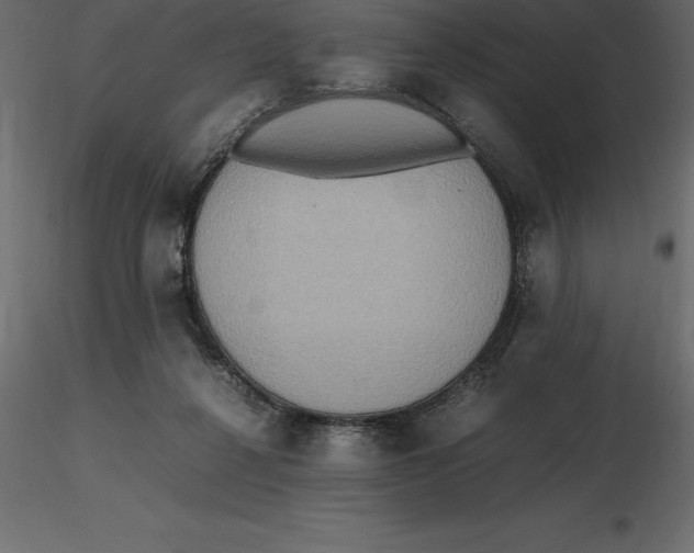 X0000116580264200912312021