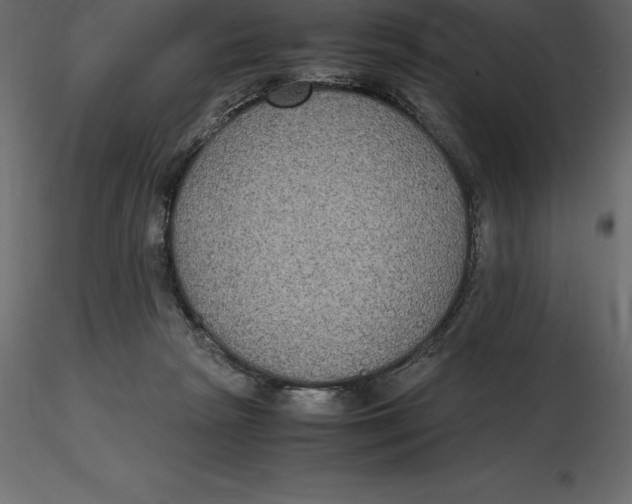 X0000116580265200912312021