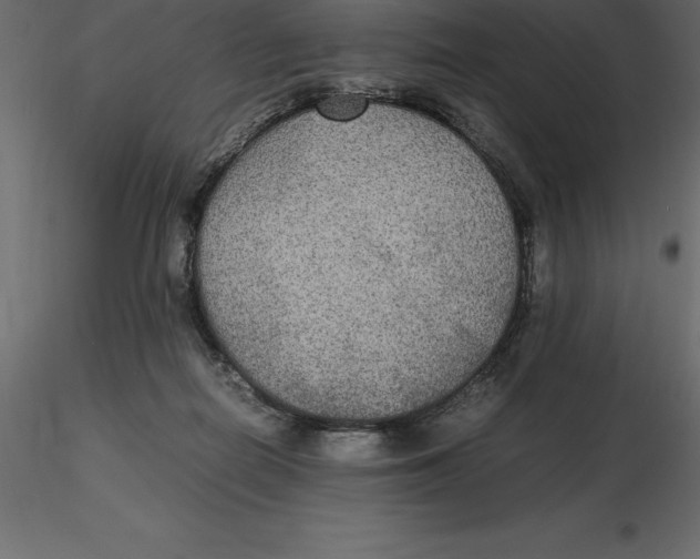 X0000116580266200912312021