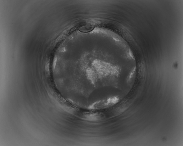 X0000116580267200912312021