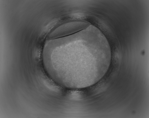 X0000116580268200912312021