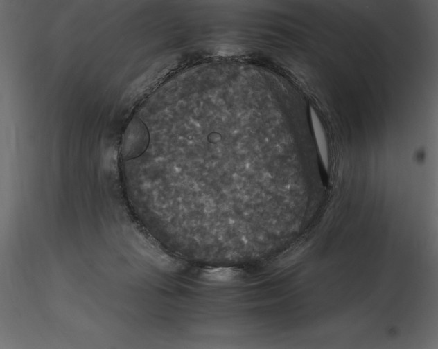 X0000116580269200912312021