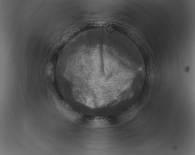 X0000116580270200912312021