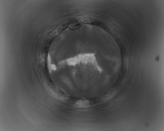 X0000116580271200912312021