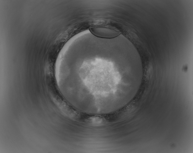 X0000116580272200912312021