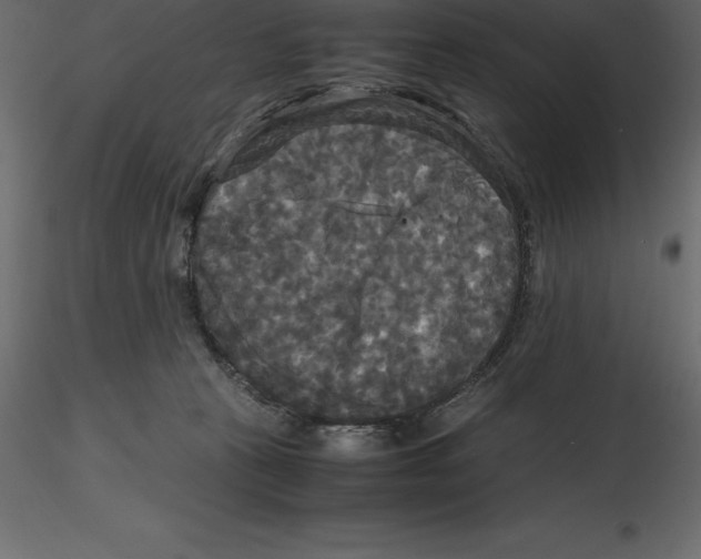 X0000116580273200912312021