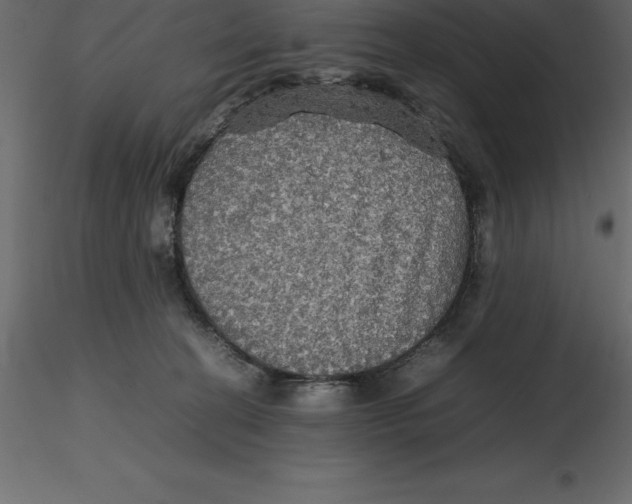 X0000116580274200912312021