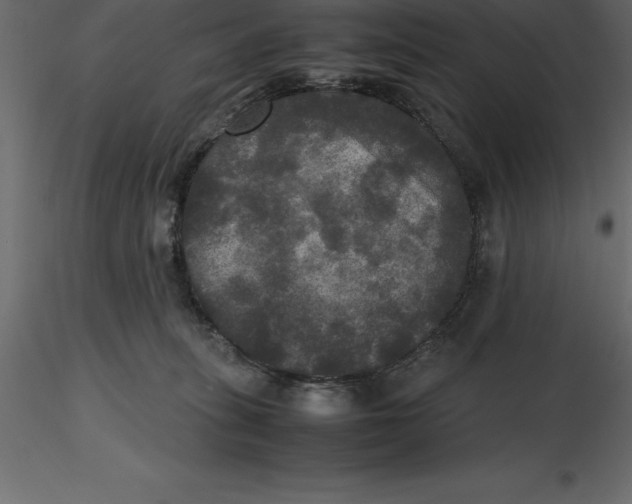 X0000116580275200912312021