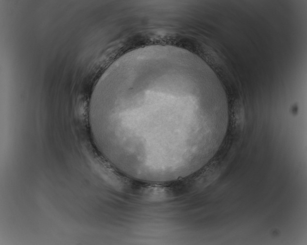 X0000116580276200912312021