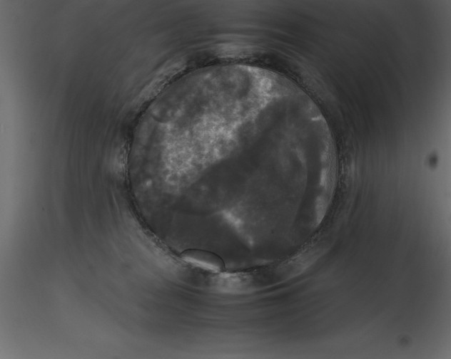 X0000116580277200912312021