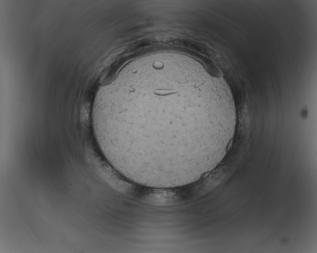 X0000116580278200912312021