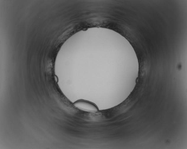X0000116580279200912312021