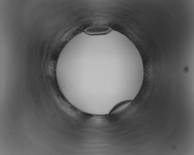 X0000116580280200912312021