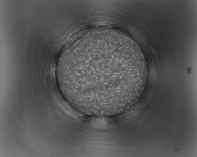 X0000116580282200912312021