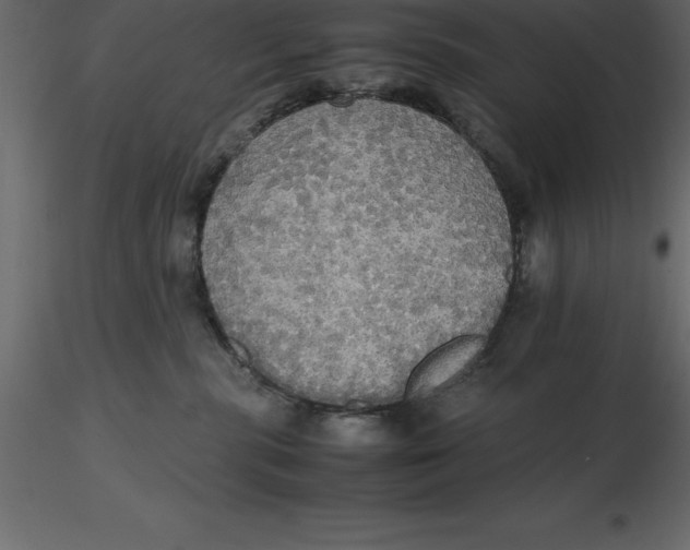 X0000116580283200912312021