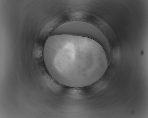 X0000116580284200912312021