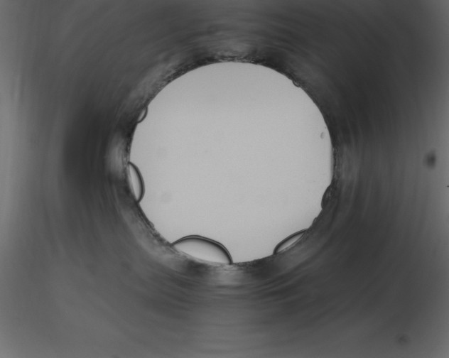 X0000116580287200912312021