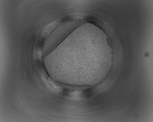 X0000116580288200912312021