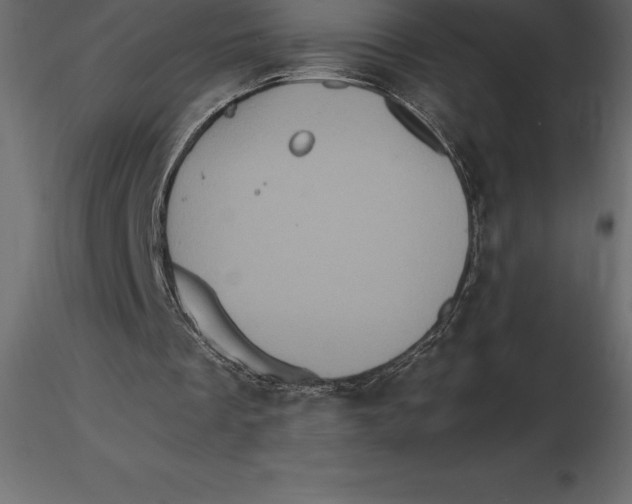 X0000116580289200912312020