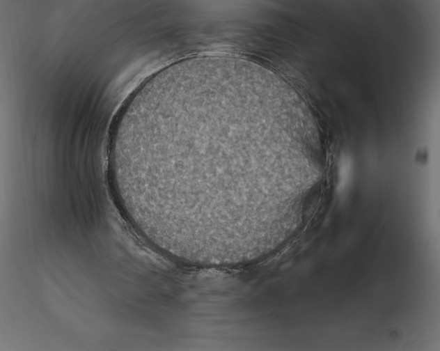 X0000116580290200912312020