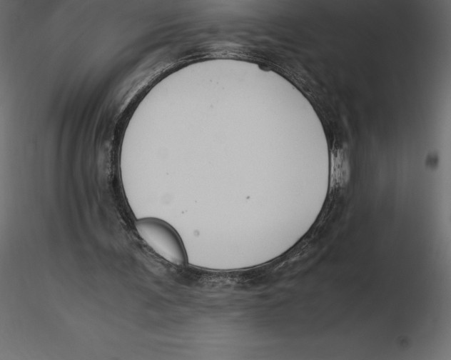 X0000116580291200912312020