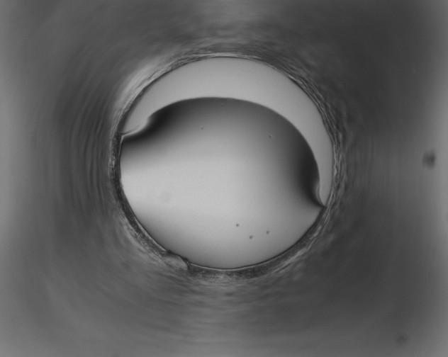 X0000116580293200912312020