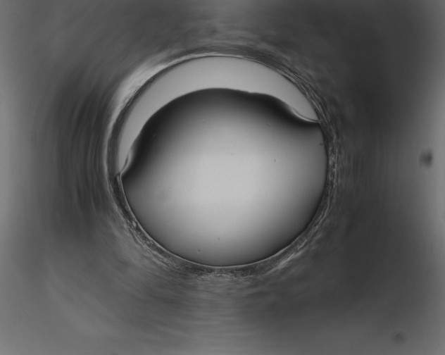 X0000116580294200912312020