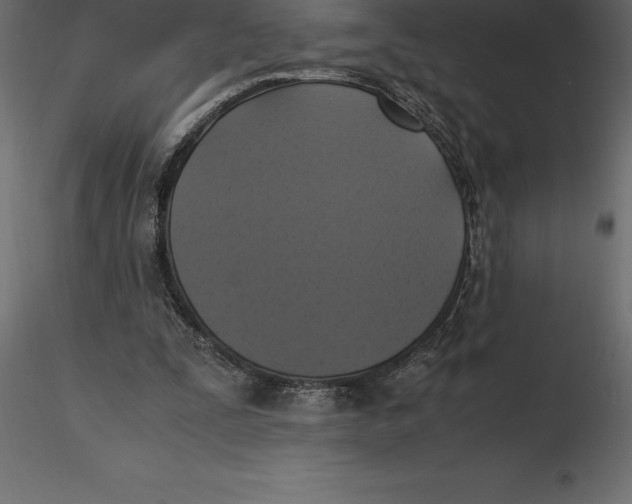 X0000116580295200912312020