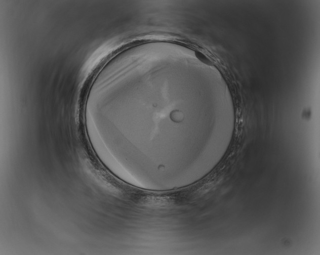 X0000116580296200912312020