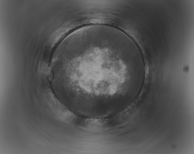 X0000116580297200912312020