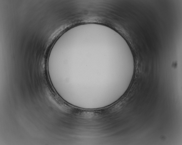 X0000116580298200912312020