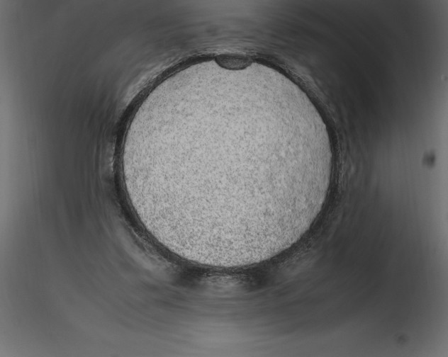 X0000116580299200912312020