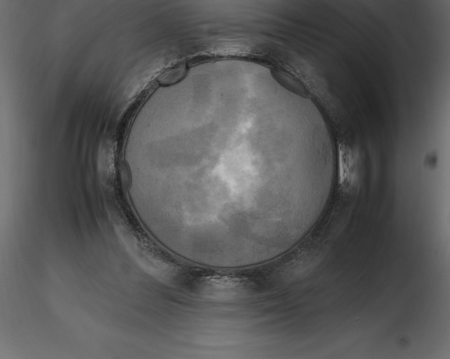 X0000116580300200912312020