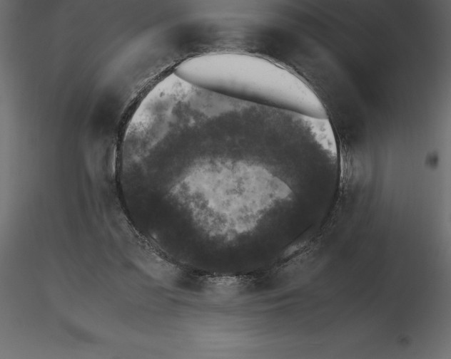 X0000116580301200912312020