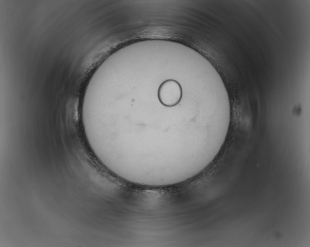 X0000116580302200912312020