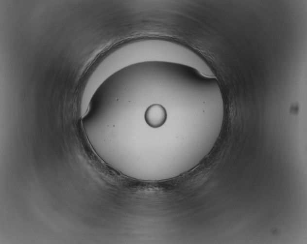 X0000116580304200912312020