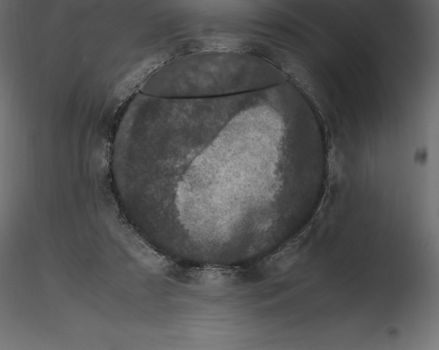 X0000116580305200912312020