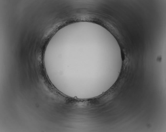 X0000116580306200912312020