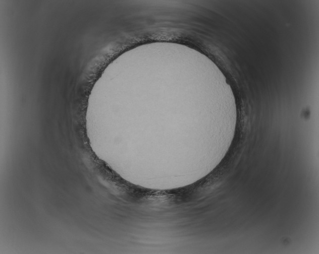 X0000116580307200912312020