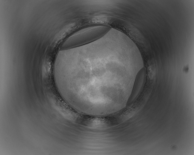 X0000116580308200912312020