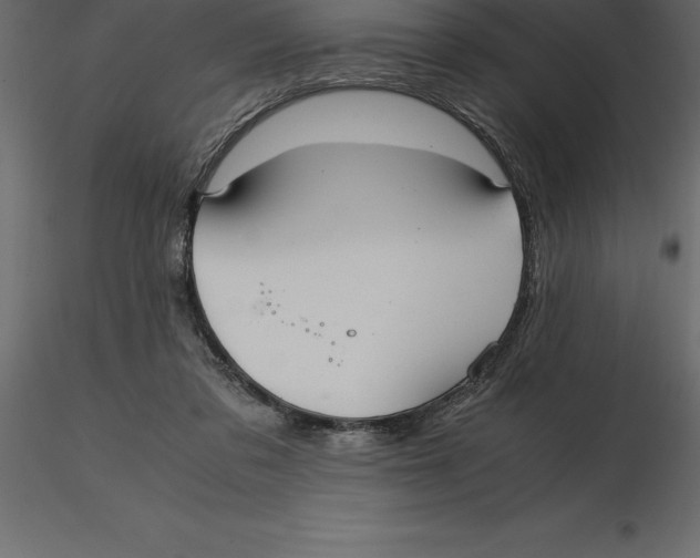 X0000116580309200912312020