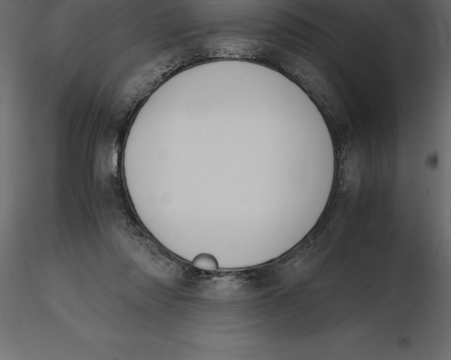 X0000116580310200912312020