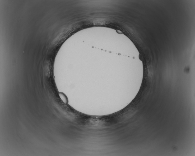 X0000116580311200912312020