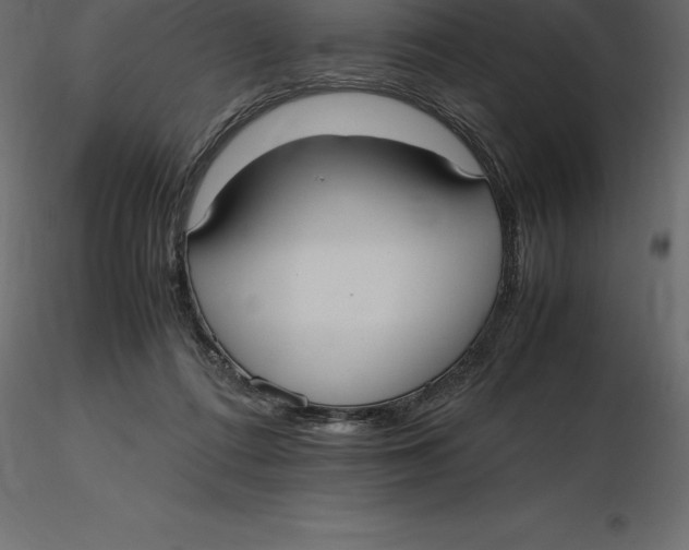 X0000116580312200912312020