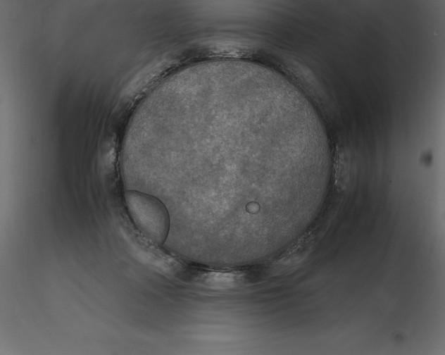 X0000116580314200912312020