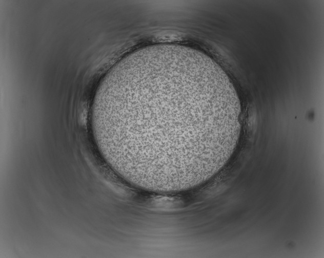 X0000116580315200912312020