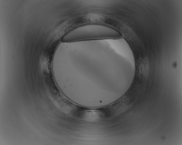 X0000116580316200912312020