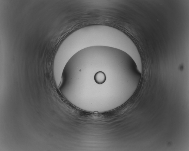 X0000116580317200912312020