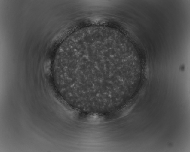 X0000116580319200912312020